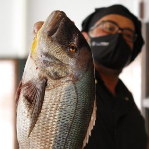 Dorada 2021-08-10