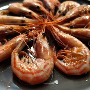 Gambas 2 2021-08-31